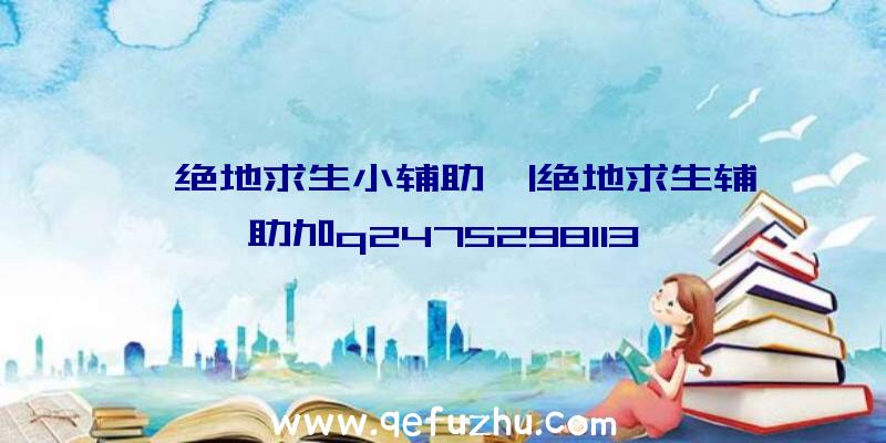 「绝地求生小辅助」|绝地求生辅助加q2475298113